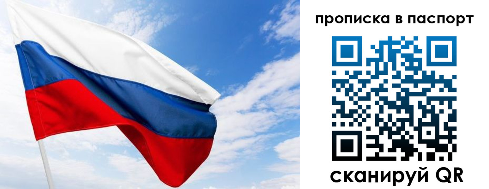 прописка поиск в Ельне