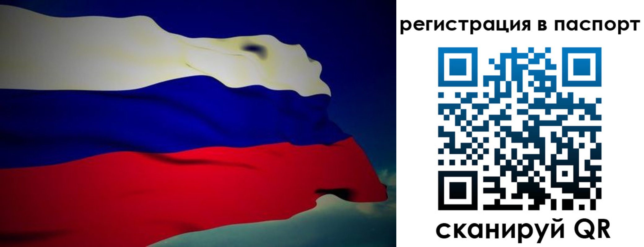 временная регистрация 2025 в Ельне